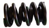 CYLINDER HEAD VALVE SPRING