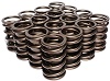  DUAL VALVE SPRING SET 1.437^ X .700^ ID.