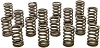 RPM SERIES VALVE SPRING SET 602 Crate Engine