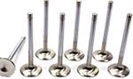 SET OF 8 INTAKE VALVES