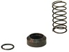 STARTER SPRING KIT