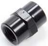 Fitting, Adapter, Straight, 1/8 in NPT Female to 1/8