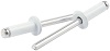 Large Head Rivet White Alum 250pk