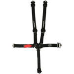 Seat Belt, 5 Point, Latch and Link, Ratchet