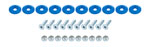 Body Bolt Kit, 1/4-20^, 1^ Long, Plastic, Blue